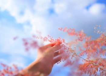 Low angle view of hand against sky during autumn