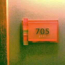 Close-up of red flower