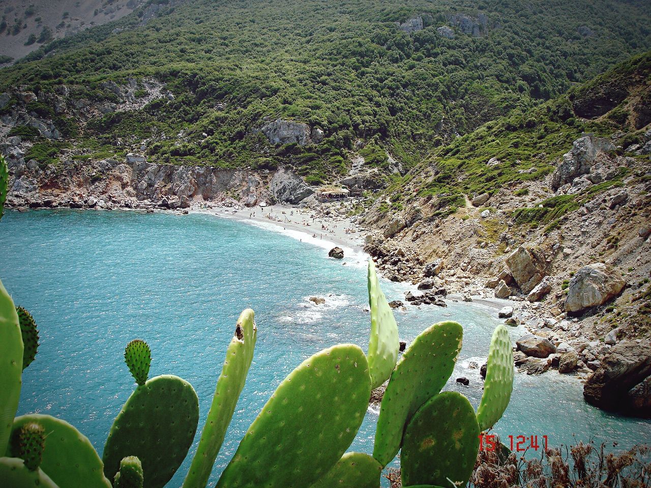 VIEW OF PLANTS IN WATER