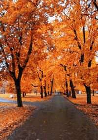 Road passing through trees during autumn