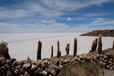Panoramic view of sea against sky
