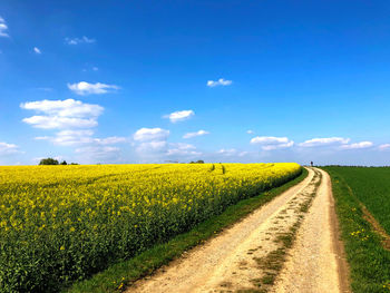 Scenic view of rapeseed field against sky in upper bavaria. 