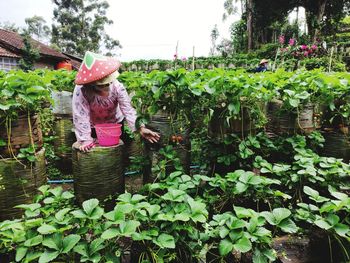 Rear view of woman standing amidst plants