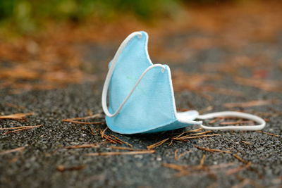 Close-up of feather on footpath