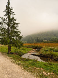 Scenic view of land against sky