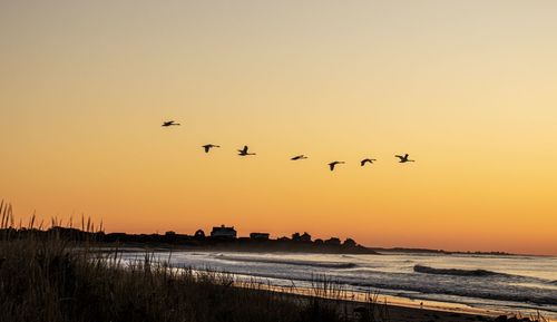 Flock of birds flying against sky during sunset