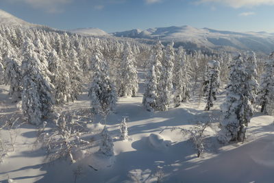 Snow covered landscape against sky