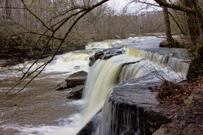 Scenic view of waterfall in forest