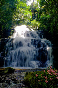 Waterfall in forest