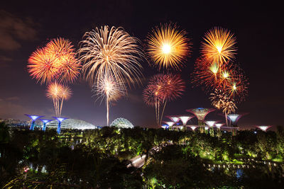 Firework display at night