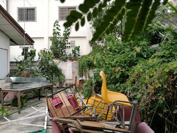 Potted plants on table by building in yard