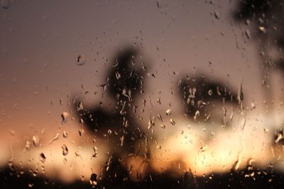 Close-up of water drops on glass