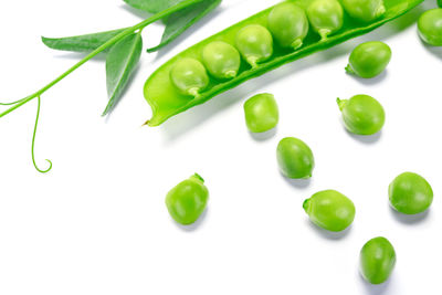 High angle view of green vegetables on white background