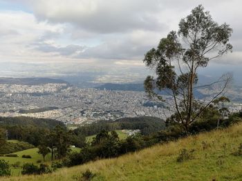 Scenic view of landscape against sky