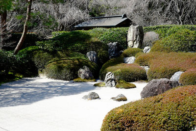 Stream flowing through rocks