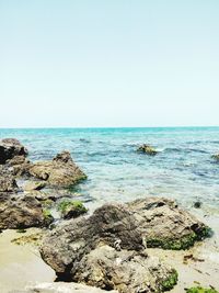 Scenic view of sea against clear sky