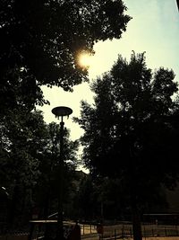 Low angle view of tree against sky at night