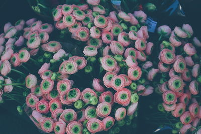 High angle view of bouquet on display at market stall