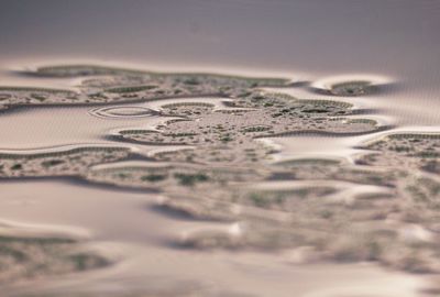 High angle view of water during monsoon