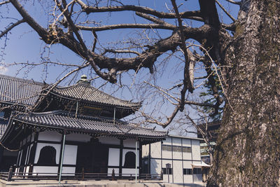 Low angle view of trees and building against sky