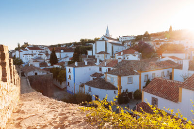 Houses in town against clear sky