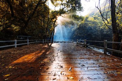 Autumn leaves fallen on wet bridge in forest