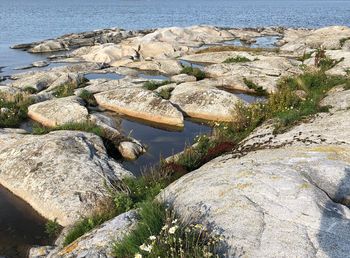 High angle view of rocks on beach