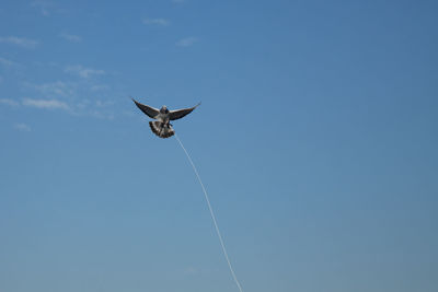 Low angle view of butterfly flying against blue sky