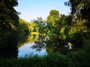 Scenic view of lake against trees in forest