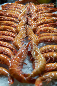 Close-up of fish for sale in market