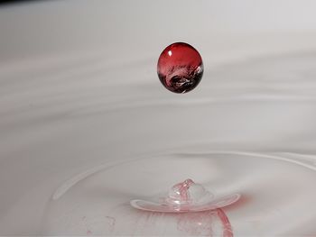 Close-up of red ball in water