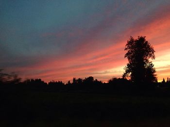 Silhouette of trees at sunset