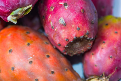 Close-up of fruits for sale in market