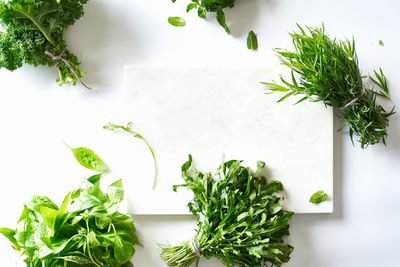 High angle view of potted plant