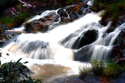 Scenic view of waterfall in forest