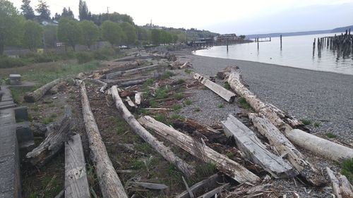 High angle view of driftwoods at beach