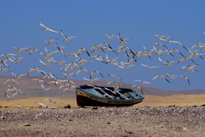 Boat moored on beach against clear sky