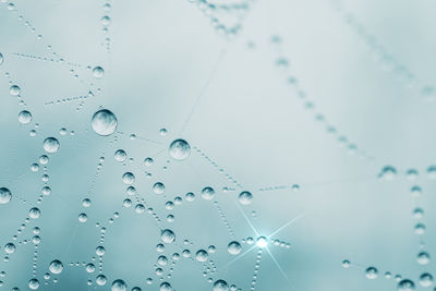 drop