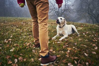 Low section of man with dog at park