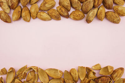 Directly above shot of leaves on table against white background