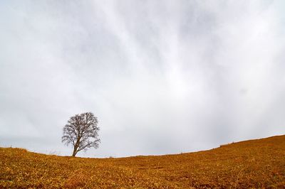 Scenic view of land against sky