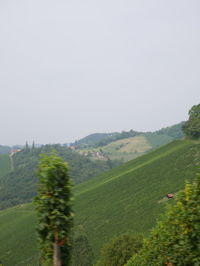 Scenic view of landscape against clear sky