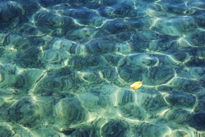 Full frame shot of rippled water in lake