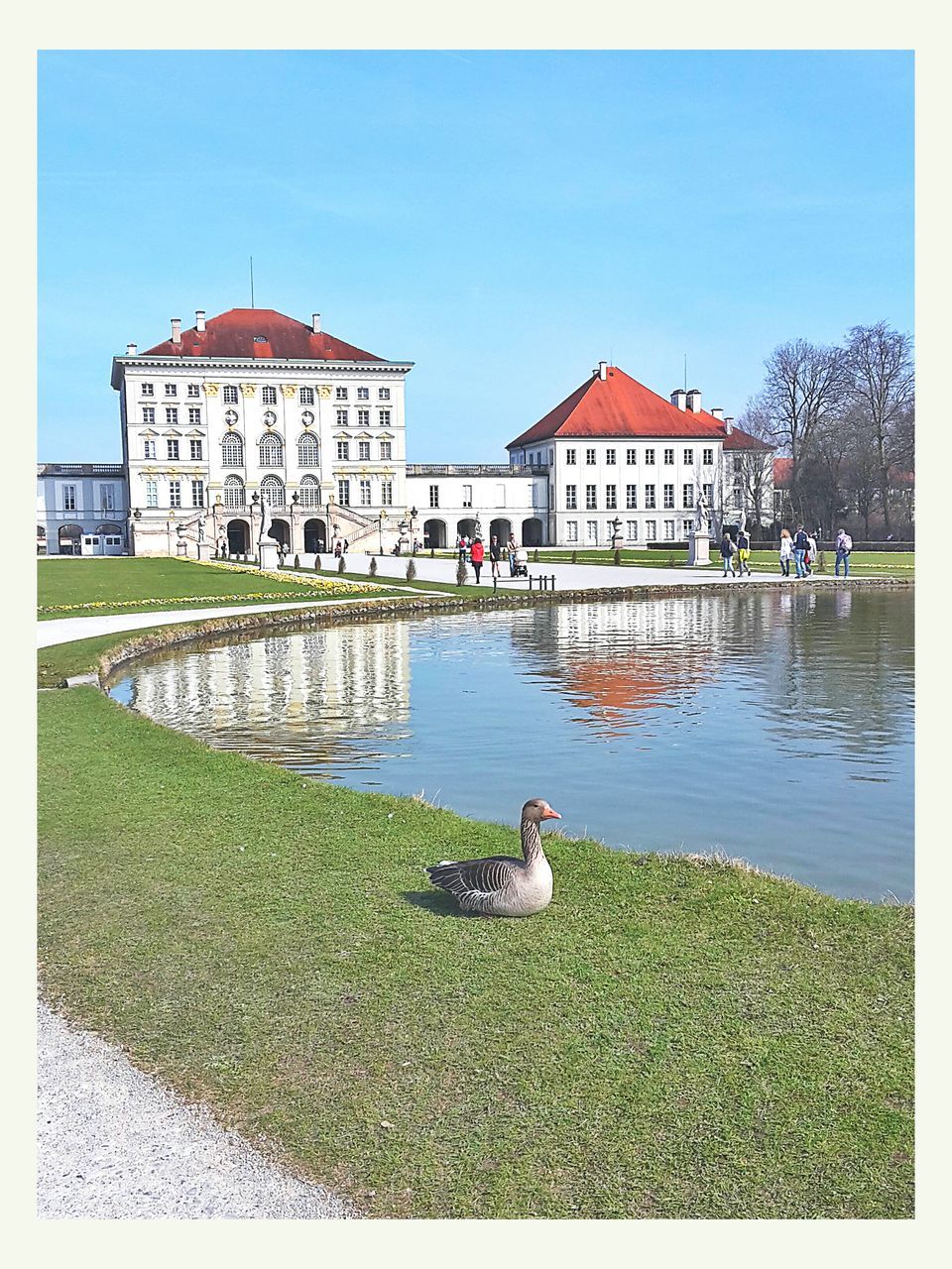 building exterior, architecture, built structure, transfer print, water, grass, clear sky, animal themes, auto post production filter, house, bird, day, outdoors, plant, one animal, incidental people, residential structure, tree, residential building