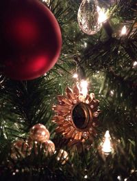 Low angle view of illuminated christmas tree