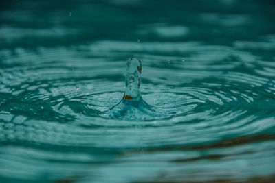 Close-up of water drop falling on surface