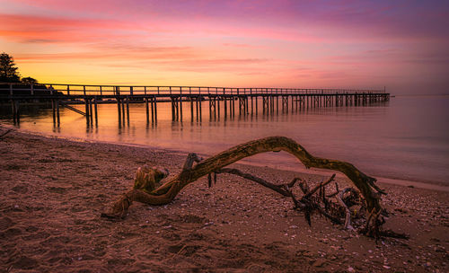 Piece of drift wood near a pier at sunset