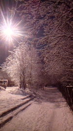 Snow covered road amidst trees against sky during winter