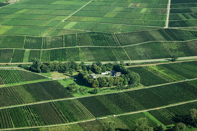 High angle view of soccer field