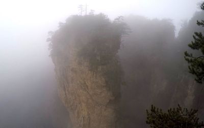 Scenic view of forest against sky